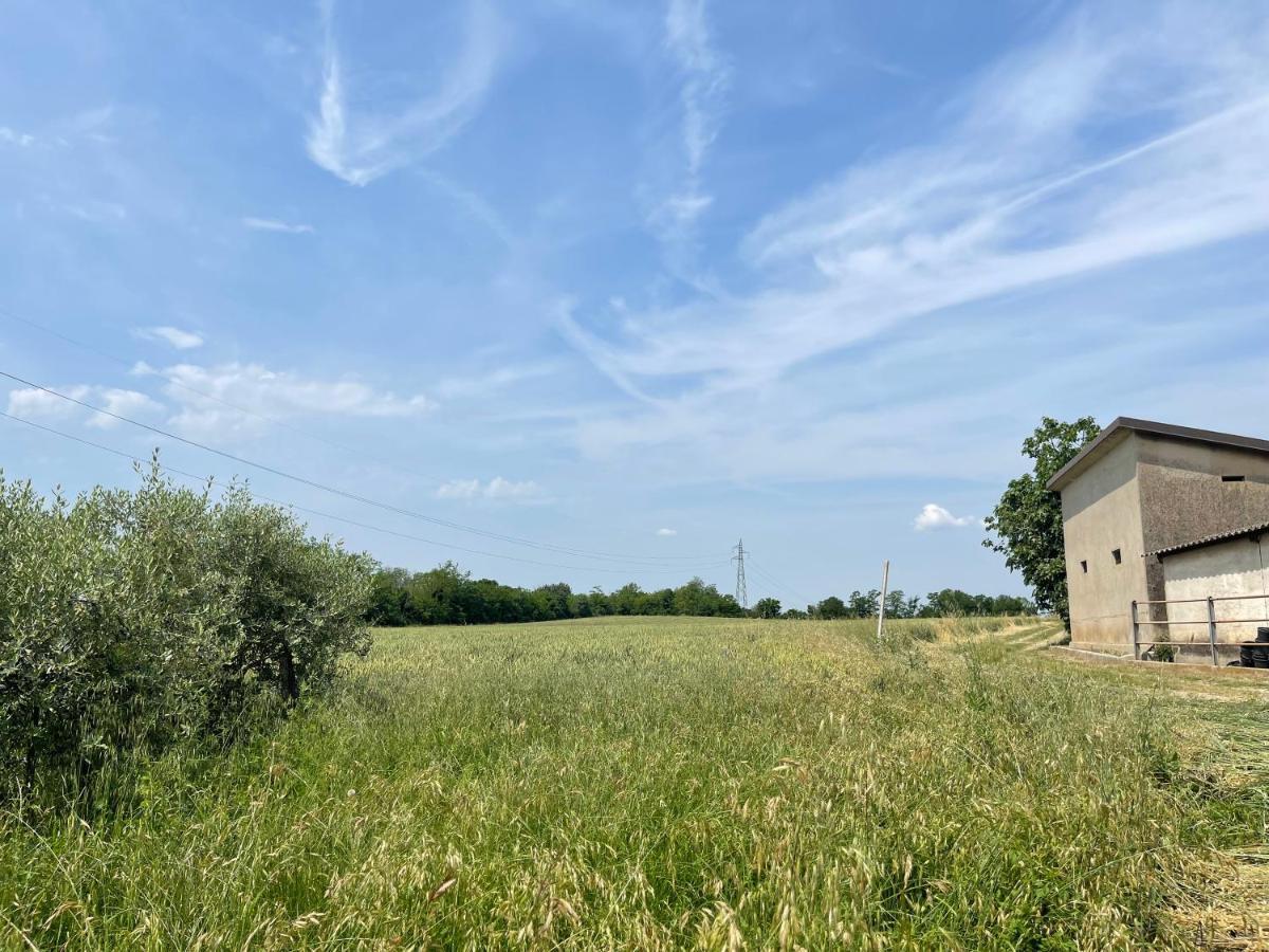 Agriturismo Monteroseo Bedizzole 外观 照片